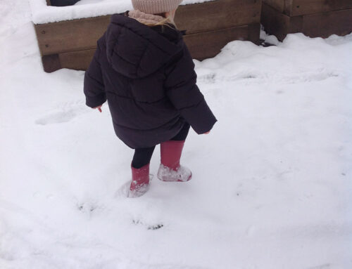 Snow Days